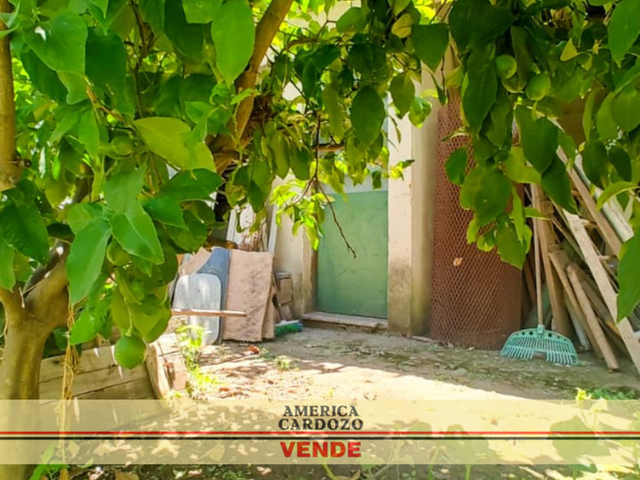 place photo 31