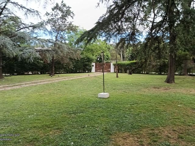 place photo 43