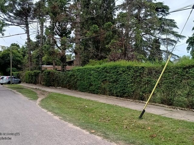 place photo 47