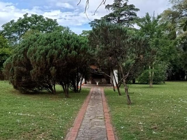 place photo 36