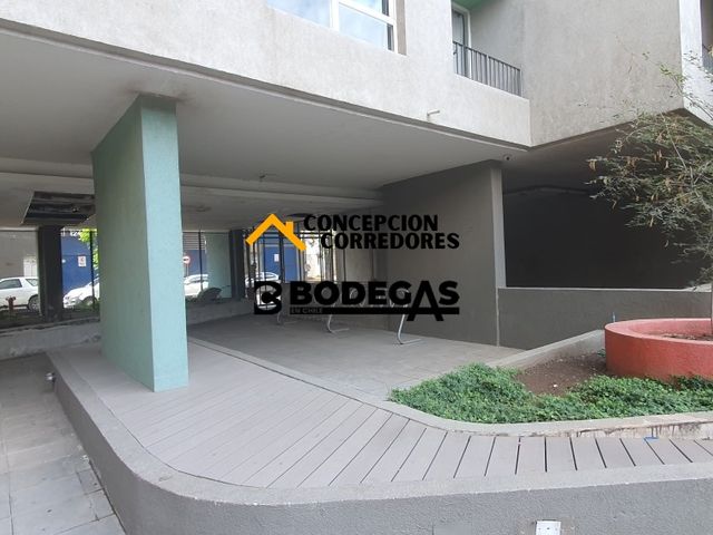 place photo 19