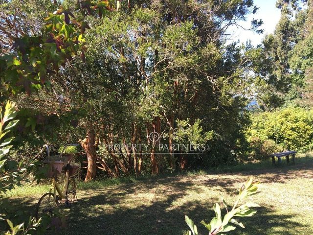 place photo 32