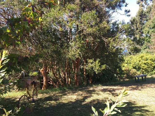 place photo 32