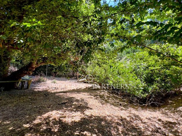 place photo 36
