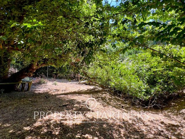 place photo 36