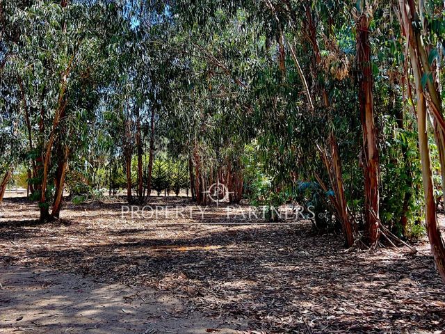 place photo 47