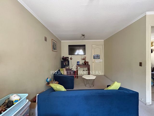 place photo 37