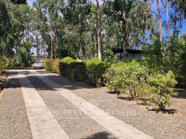 place photo 45