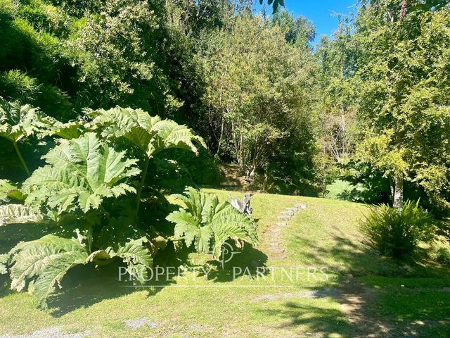place photo 83