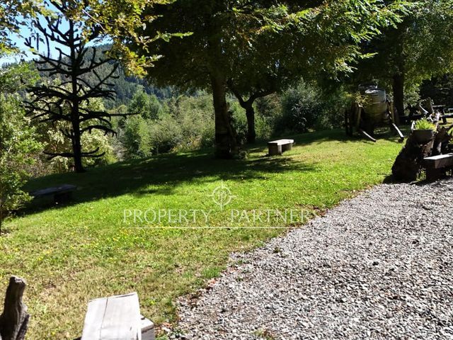 place photo 29