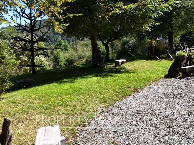 place photo 29