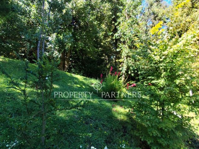 place photo 46