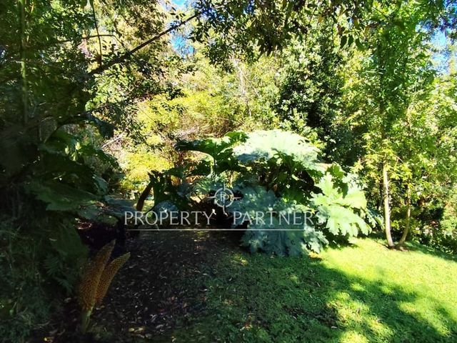 place photo 47