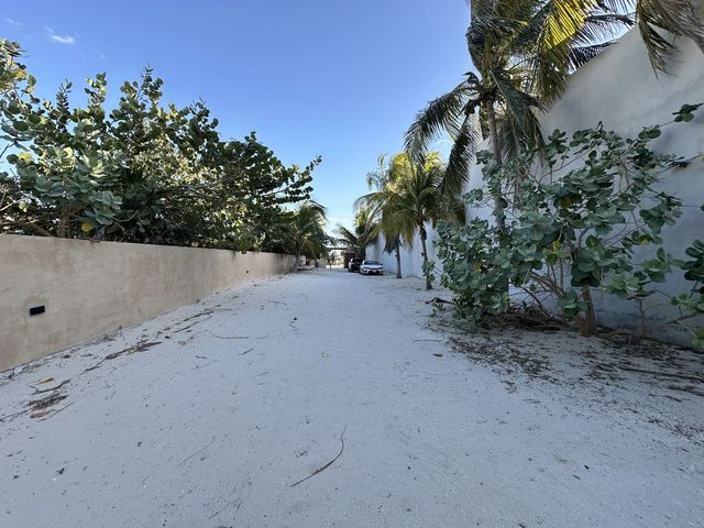 place photo 31