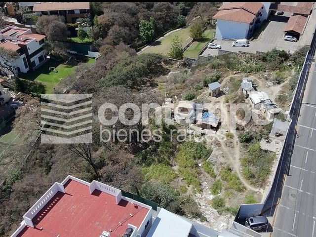 place photo 6