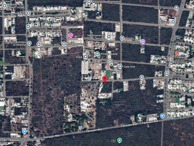 place photo 6