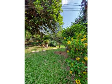place photo 62