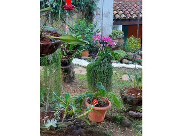place photo 59