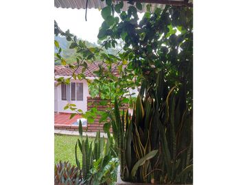 place photo 65