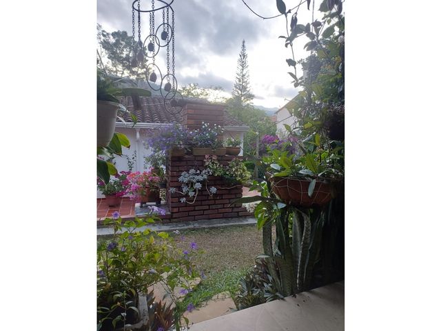 place photo 55