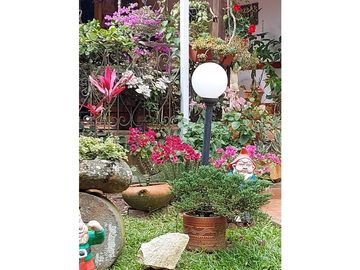 place photo 44