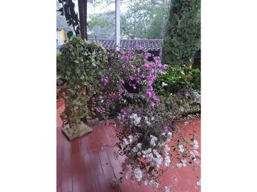 place photo 45