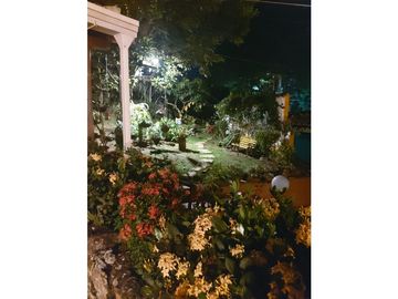 place photo 63