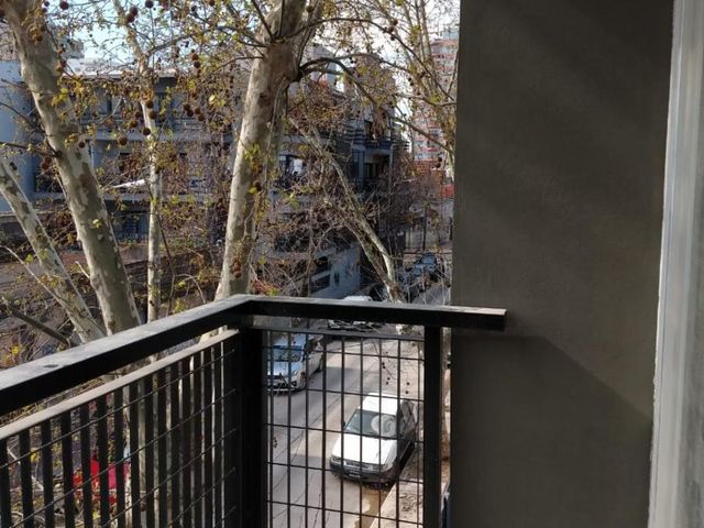 place photo 14