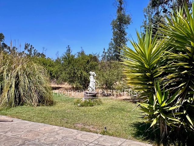 place photo 37