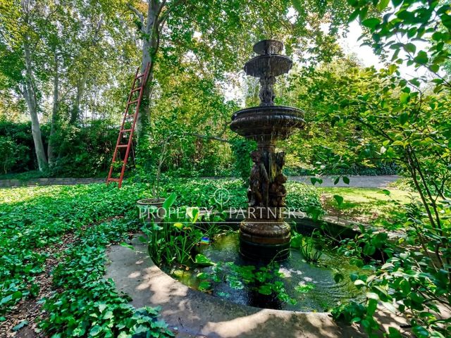 place photo 43