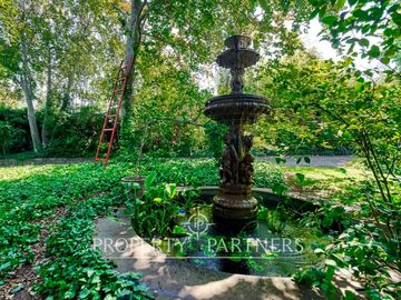 place photo 43