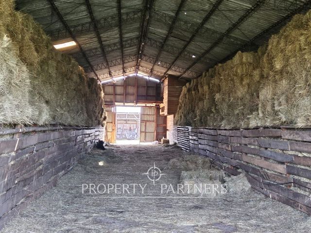 place photo 27