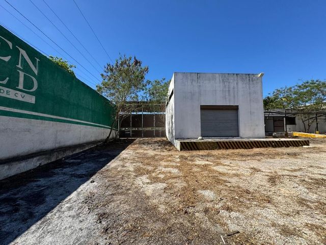place photo 17
