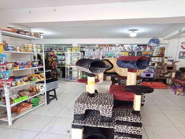 place photo 22