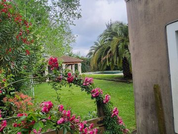 place photo 41