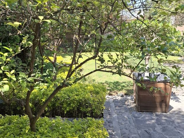 place photo 35