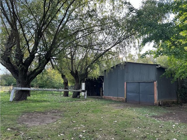 place photo 19