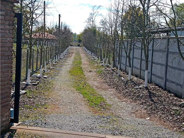 place photo 26