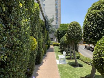 place photo 42