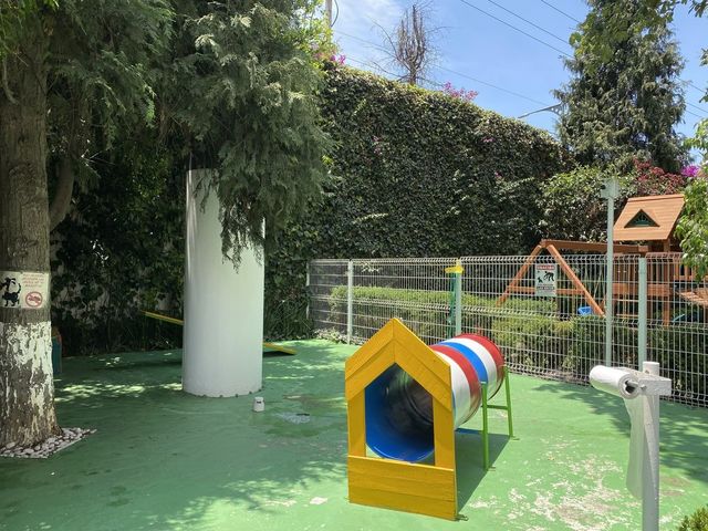 place photo 47