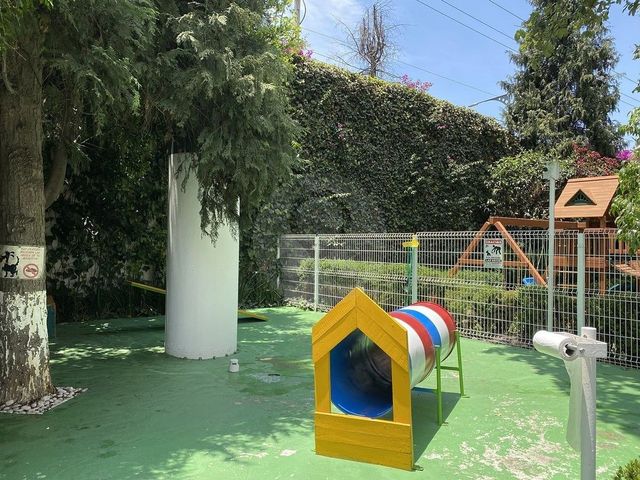 place photo 47