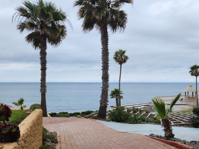 place photo 31