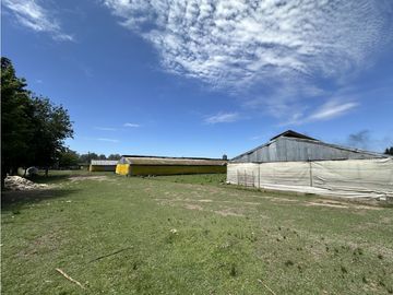place photo 29