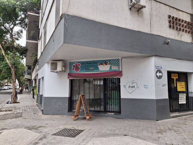 place photo 44