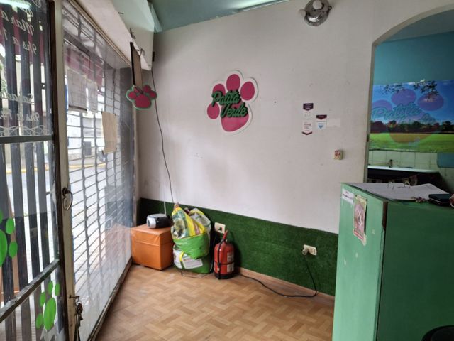 place photo 20