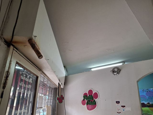 place photo 29