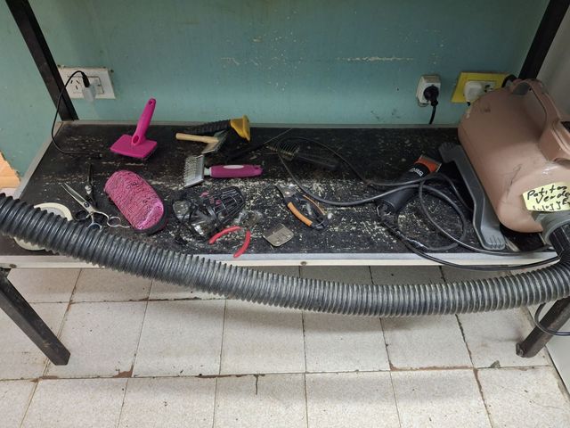 place photo 9