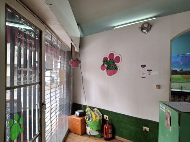place photo 22