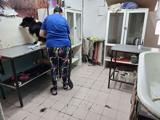 place photo 37