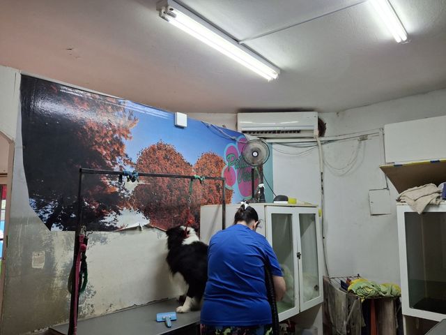 place photo 33